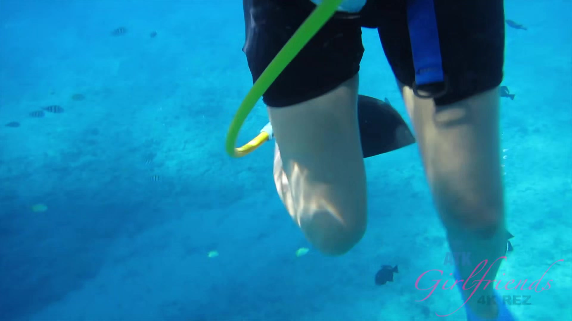 Virtual Vacation Hawaii With Cassidy Banks 2/4