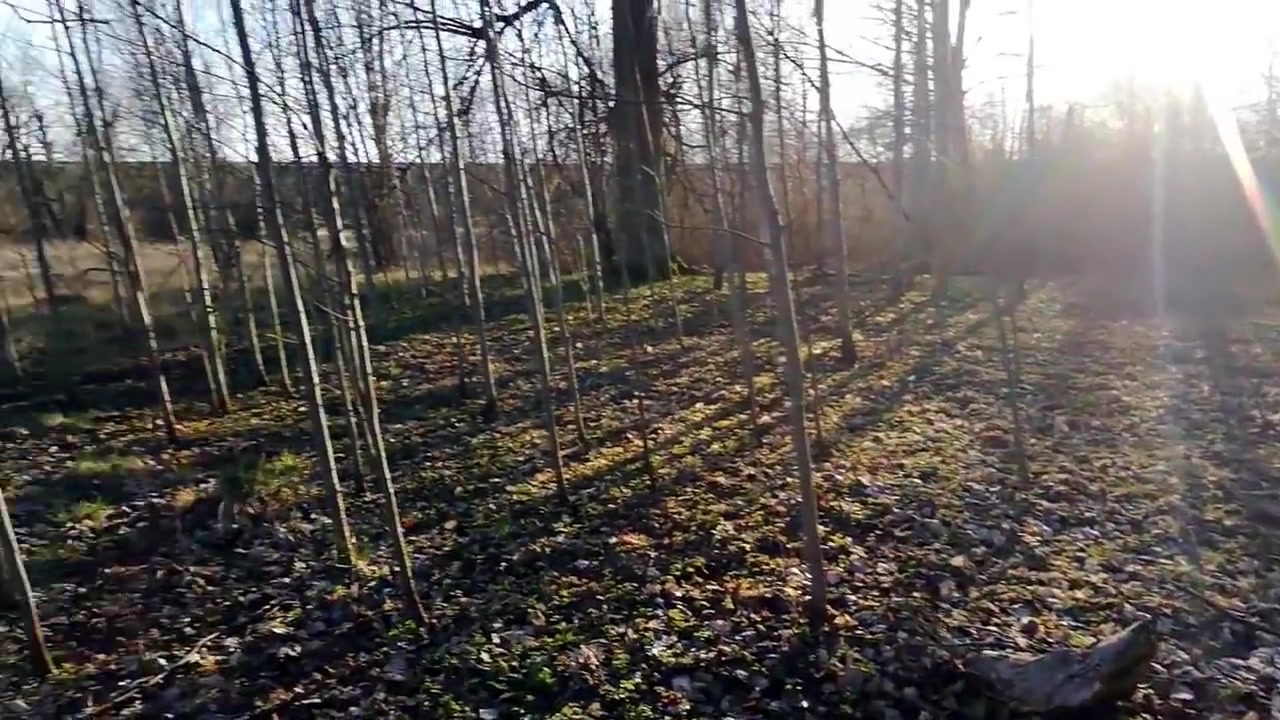 Step brother fucked stepsister in a barbecue forest in coronavirus epidemic 2020