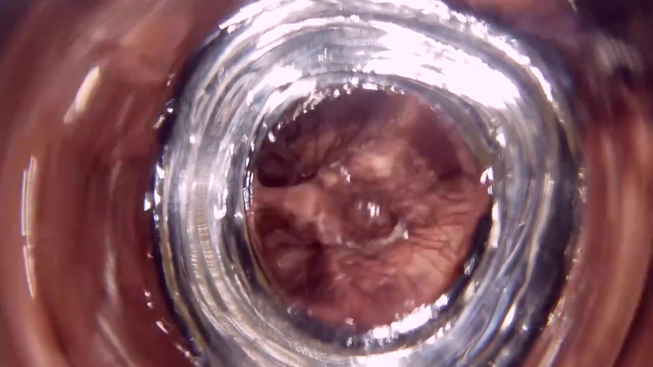 Glass Butt Plug Inside Look V2