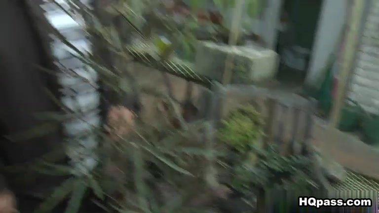 MoneyTalks - Winters garden