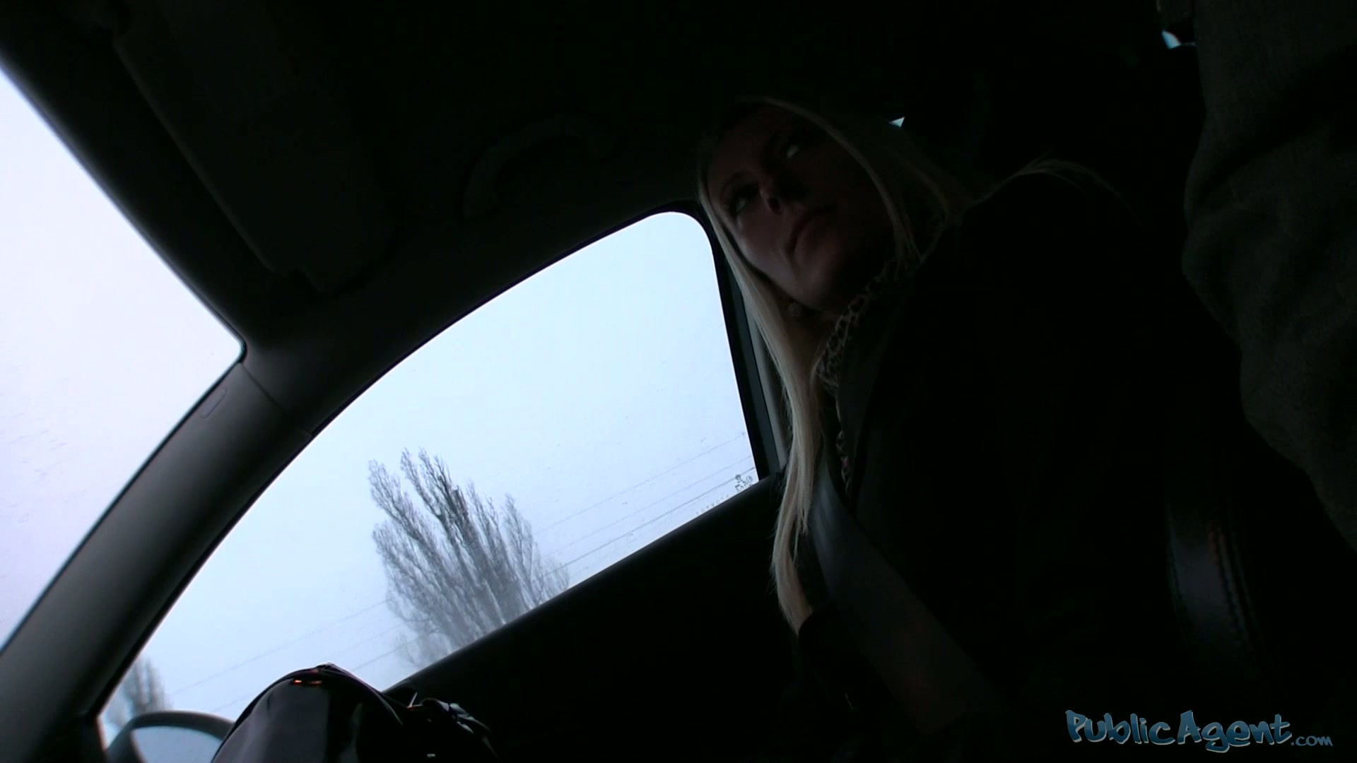 PublicAgent Scene. Nella