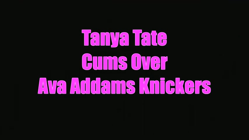 Pantie Sniffer Tanya Tate Uses Girlfriends Knickers To Wank - Sex Movies Featuring Tanya Tate