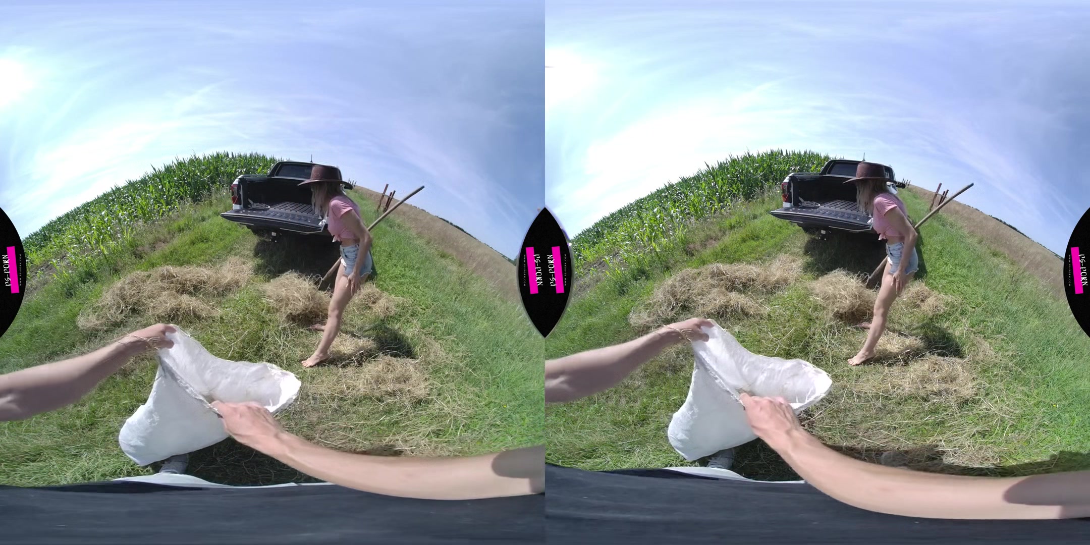 Sex in a pickup from another point of view