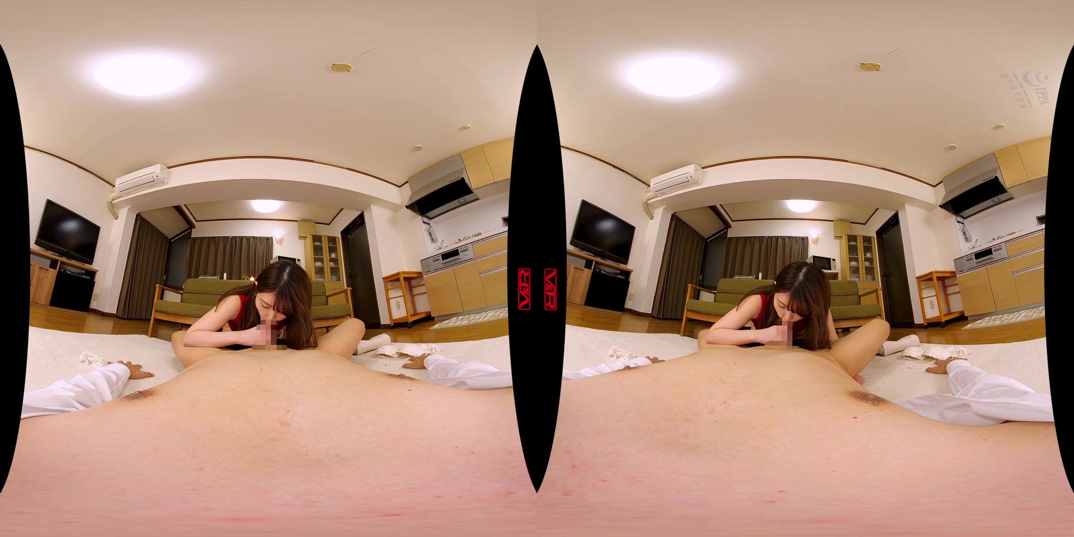Akari Niimura - Your Big Butt S*ster-in-Law Seduces You into Creampie Sex - 3DV&R