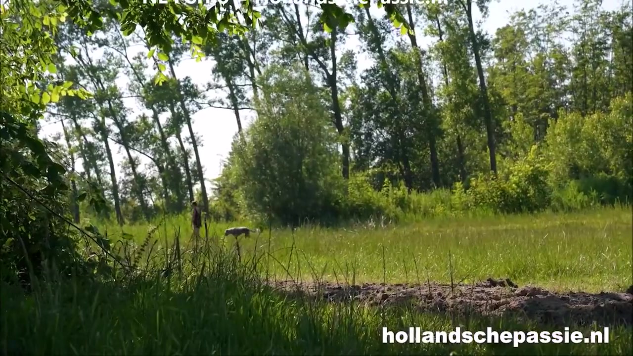 Dutch Mel Melicious Fucking Outdoors