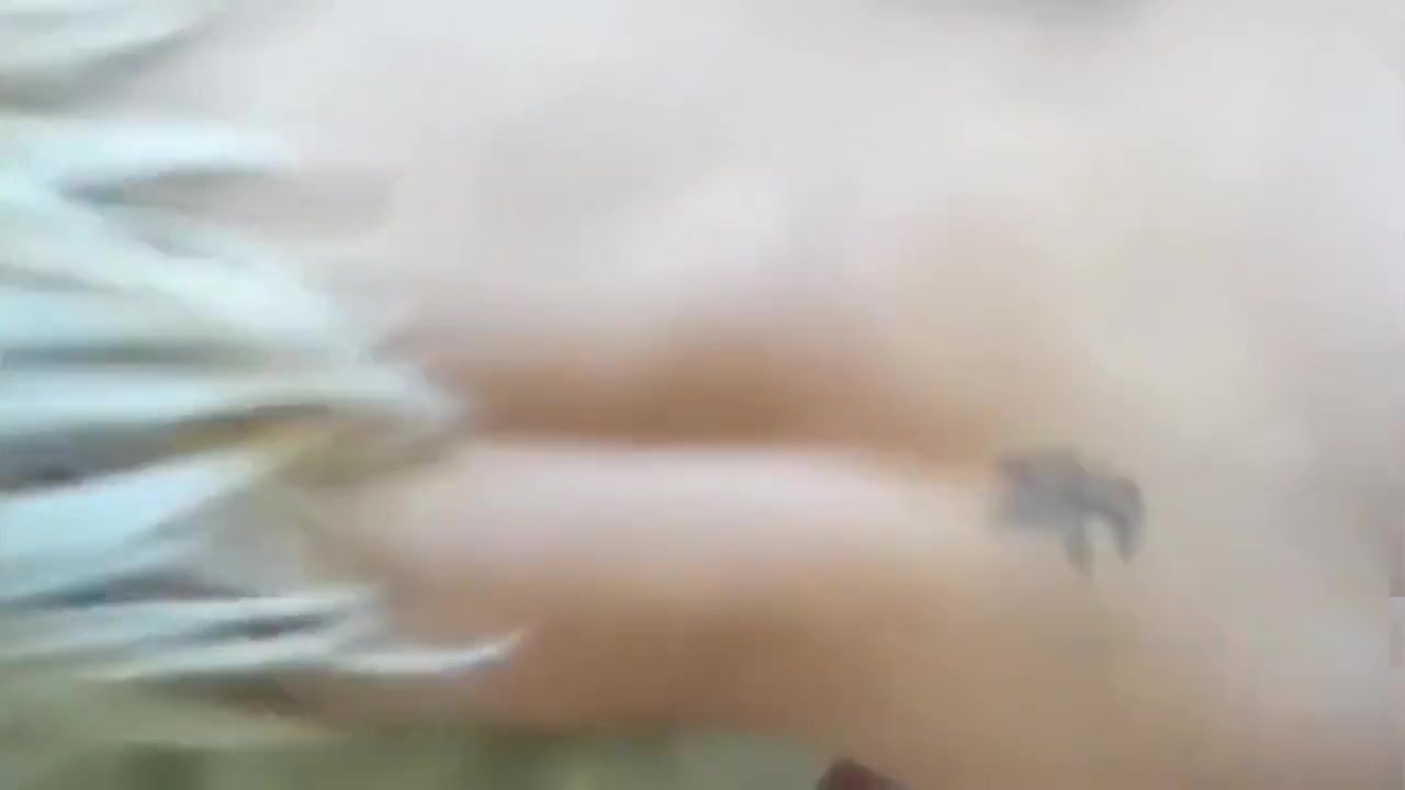 My first anal experience with my big booty blonde stepsis
