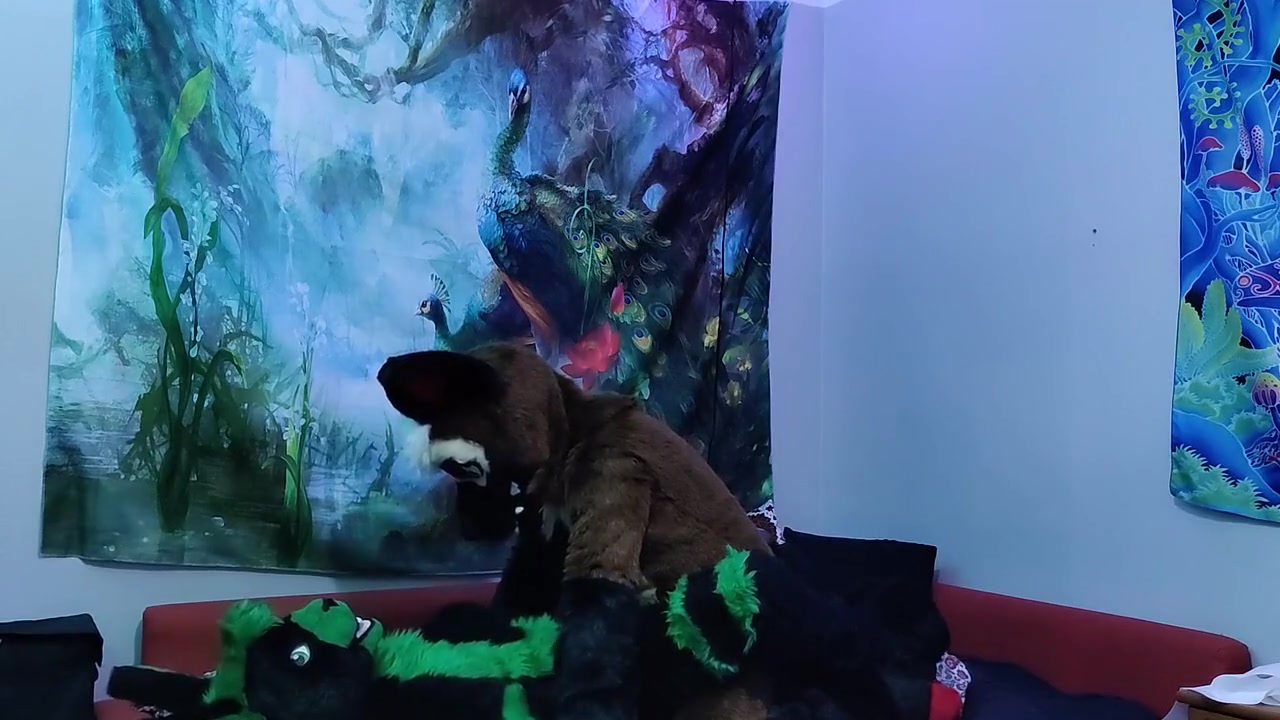 Sheppie Bangs A Bunny And Makes Him Cum Fursuit Yiff
