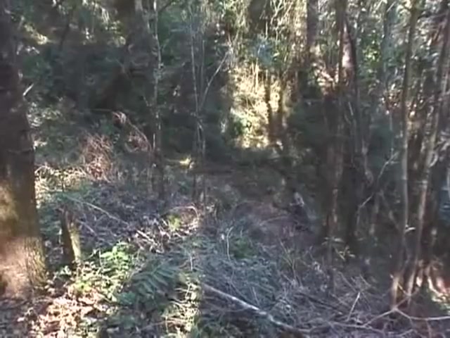 Best adult scene tranny Anal newest pretty one