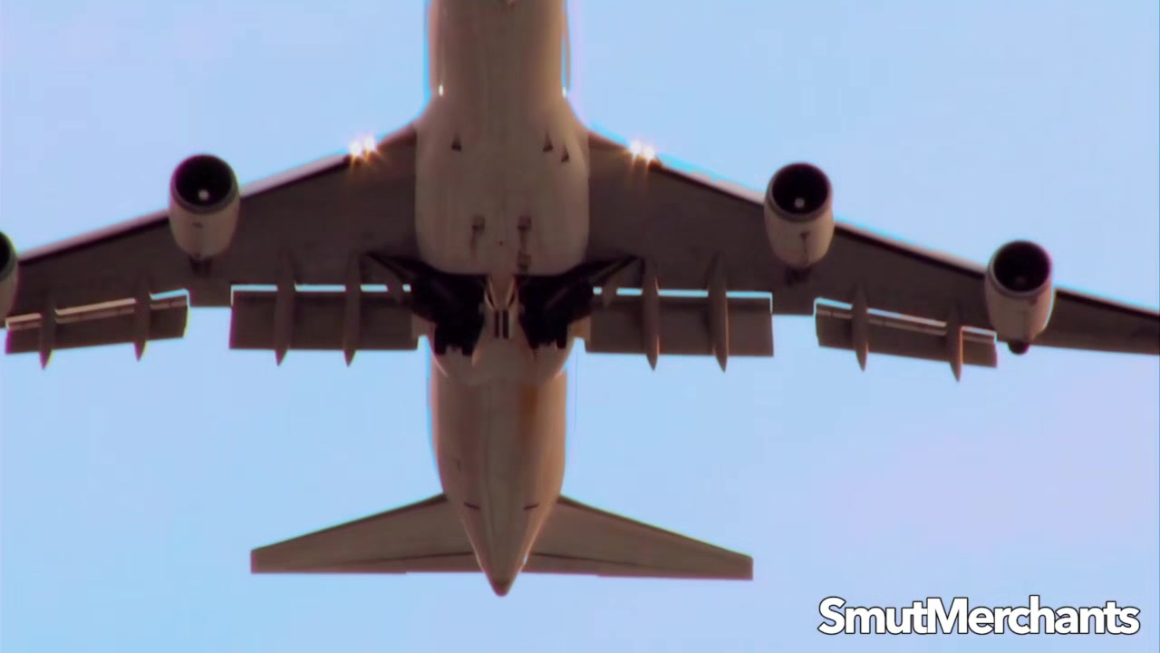 Lucky Pilot Gets Wildly Served by Big Tits Stewardess Madelyn Marie
