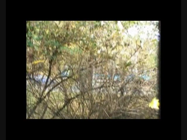 Real amateurs homemade public sex footage of Scorpions outdoor blowjob and exhibitionist fucking in the park