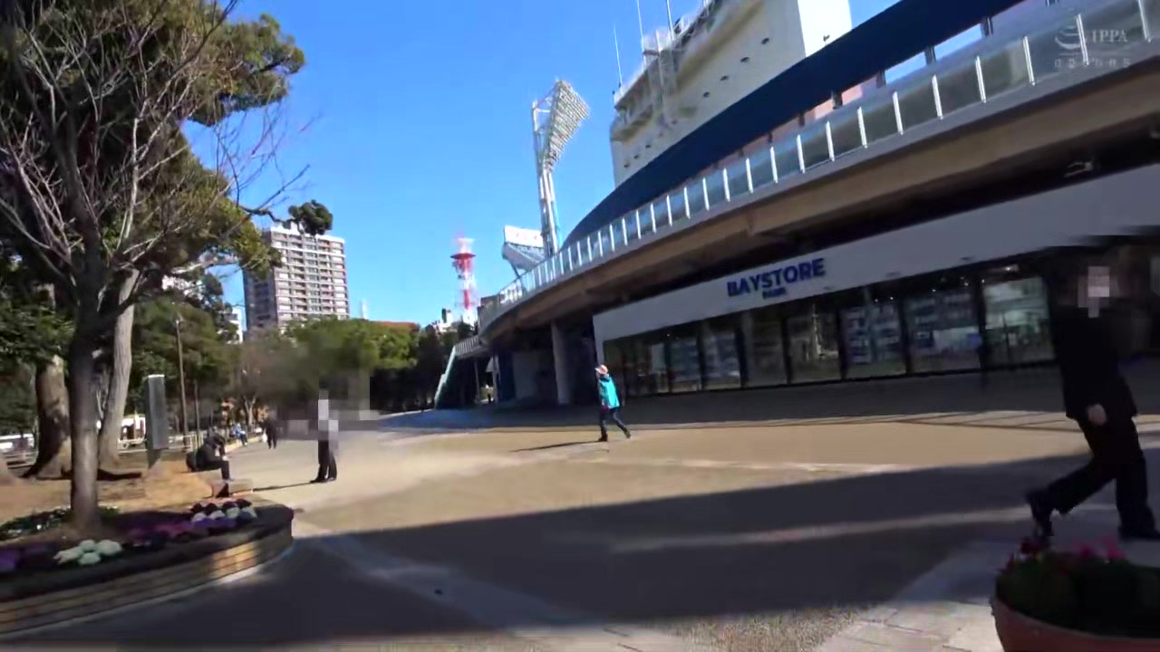 0006094_フェラ ベロチュウ ベロキスなどが含まれている