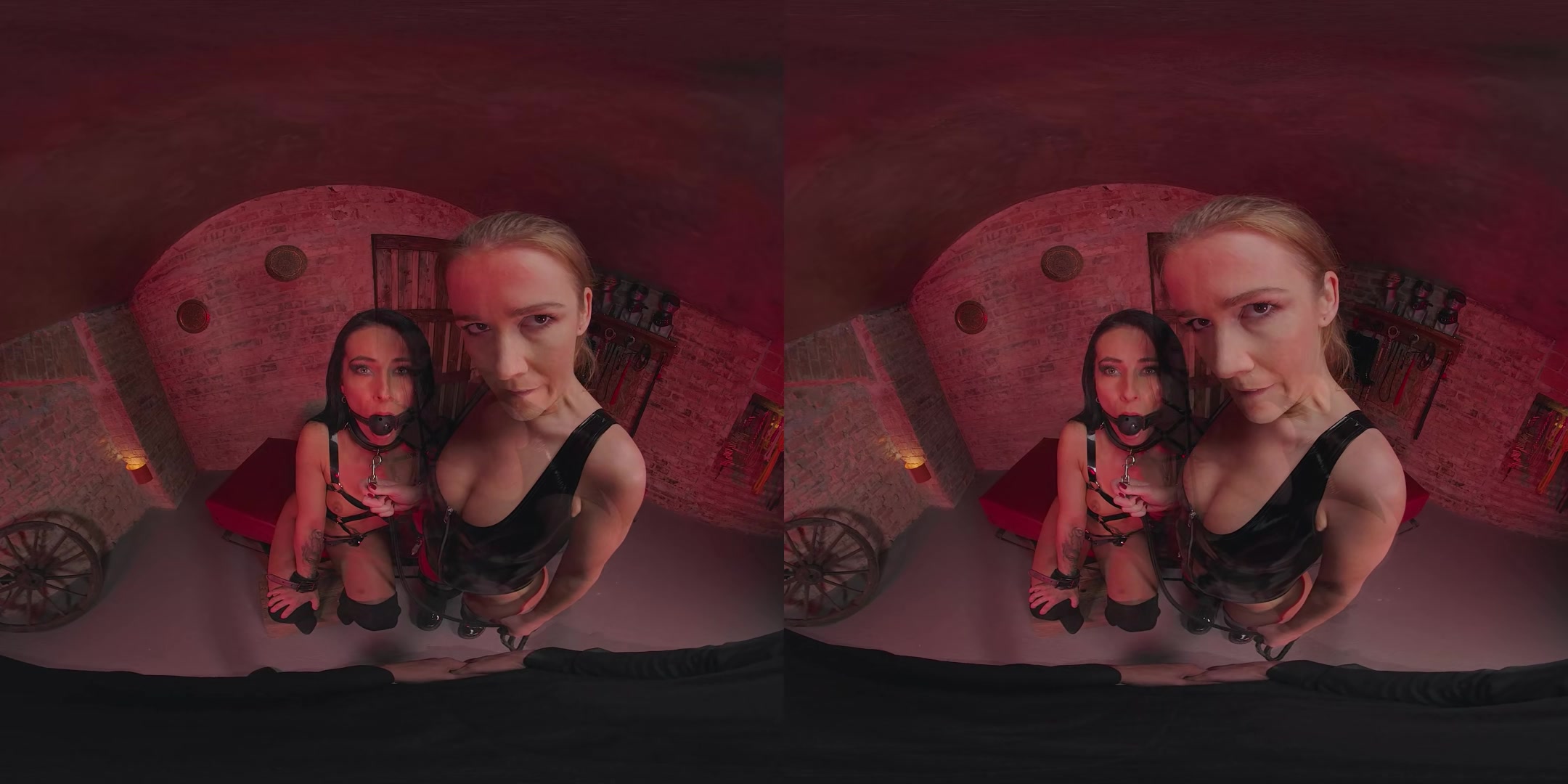 BDSM: Submissive Anal Holes - RealJamVR