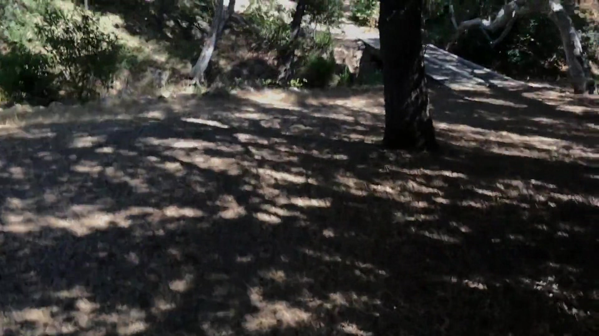 Girl Gets Her Ball From The Neighbor And Gets A Good Balling