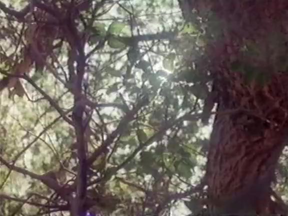 Kristara Barrington, Honey Wilder, Herschel Savage in vintage fuck movie