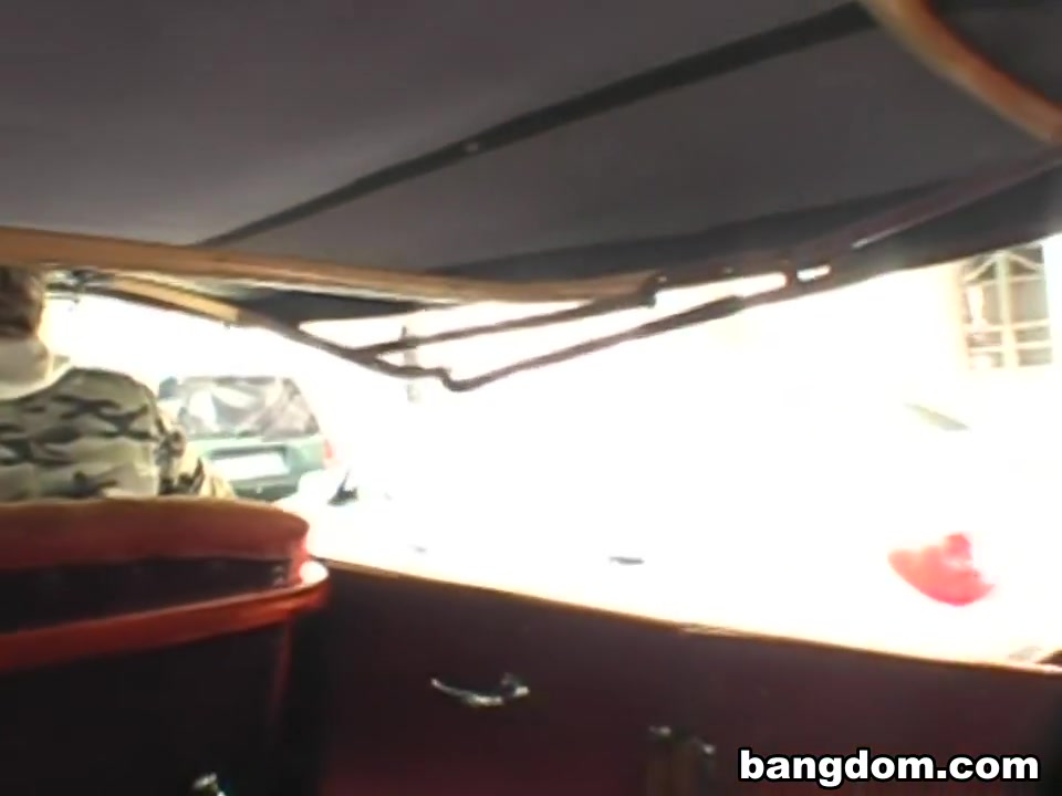 Public Car Fucking Tourist Attraction