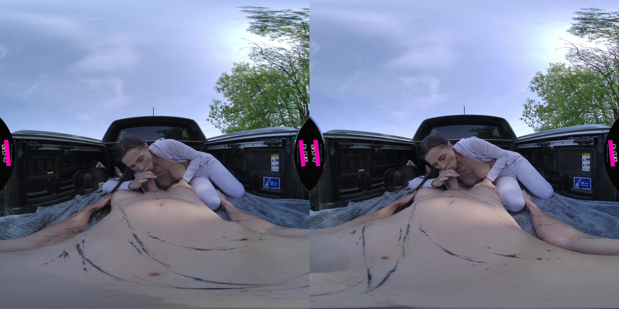 Sex In A Pickup Truck