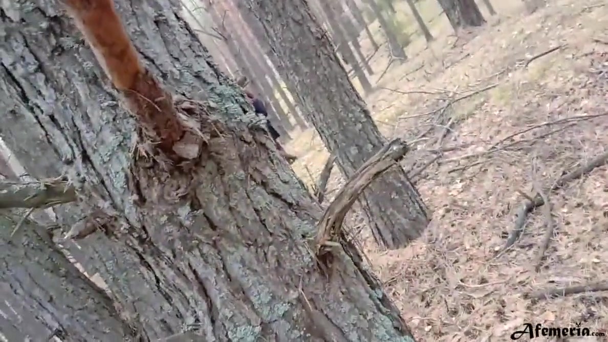 Horny Babe Caught In The Forest And Doggystyle Fucked