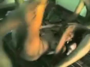 Desi gal in group sex with 2 allies