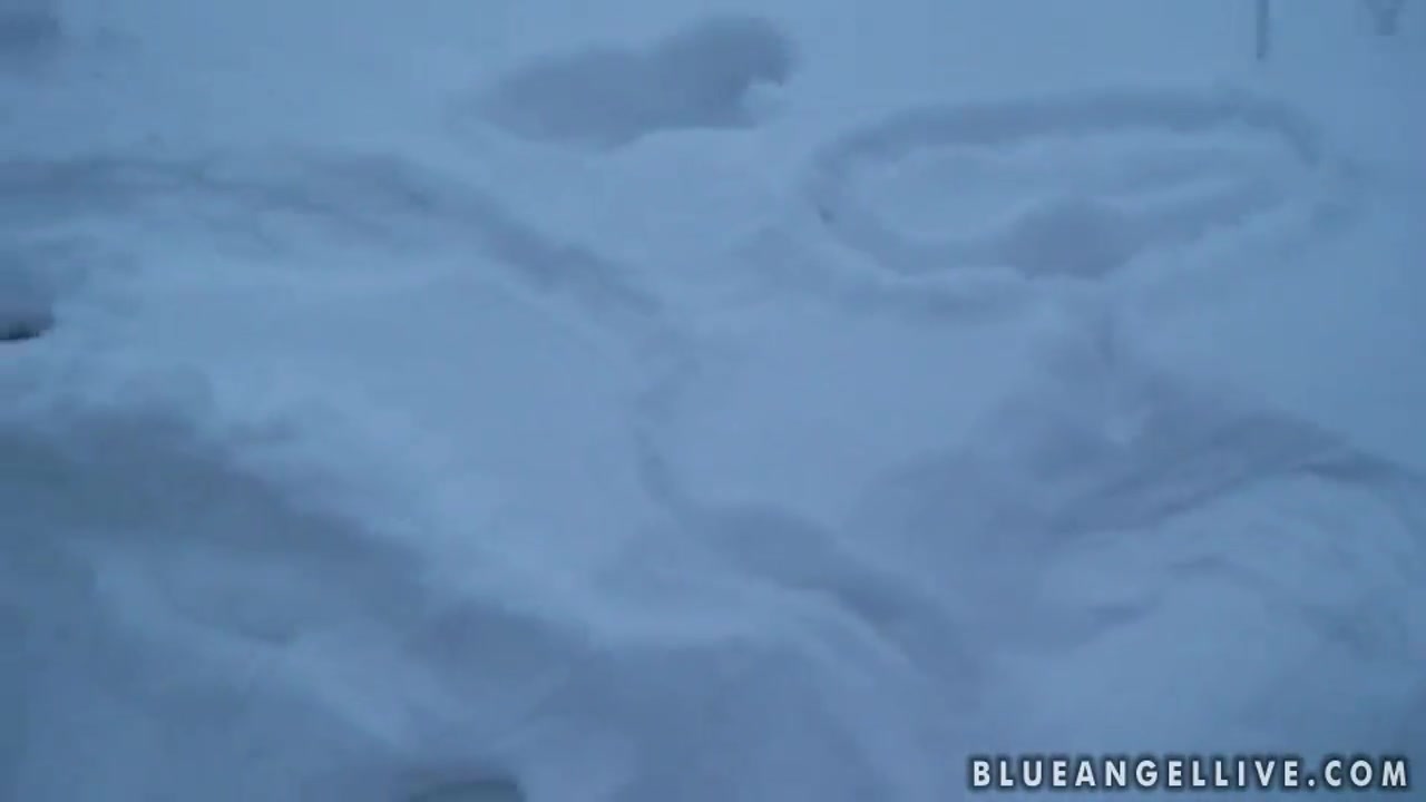 Blue Angel enjoys in playing in the snow