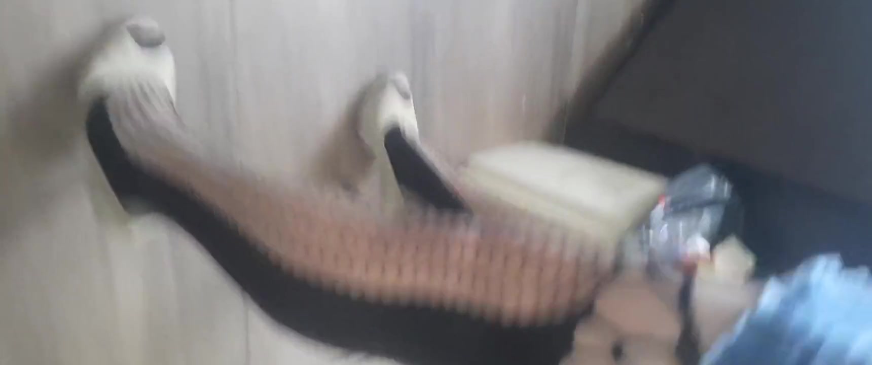 The Anal Is Awesome Lola Happy
