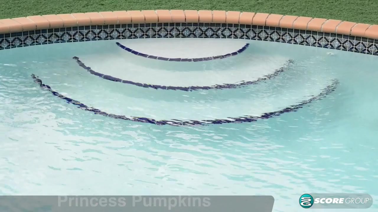 Poolside Princess - Princess Pumpkins - Scoreland