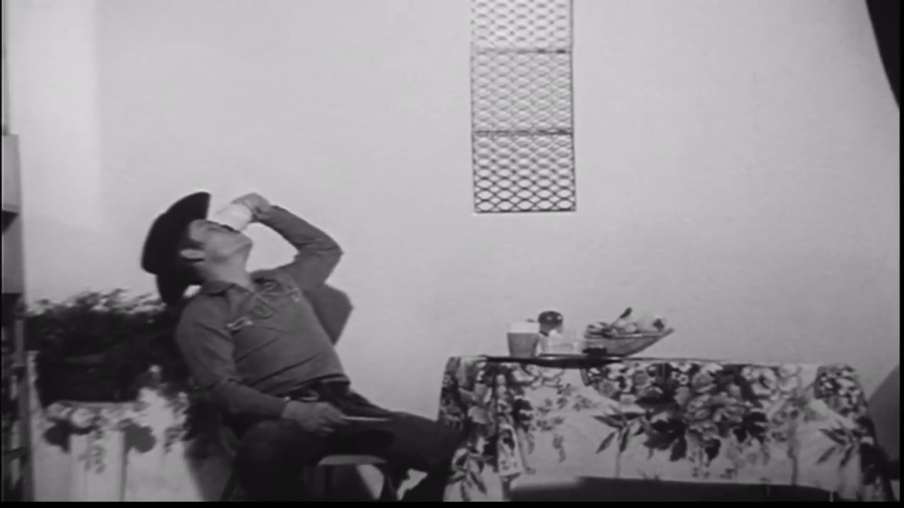 Amateur Hunks: The Cowboy And The Waiter homemade