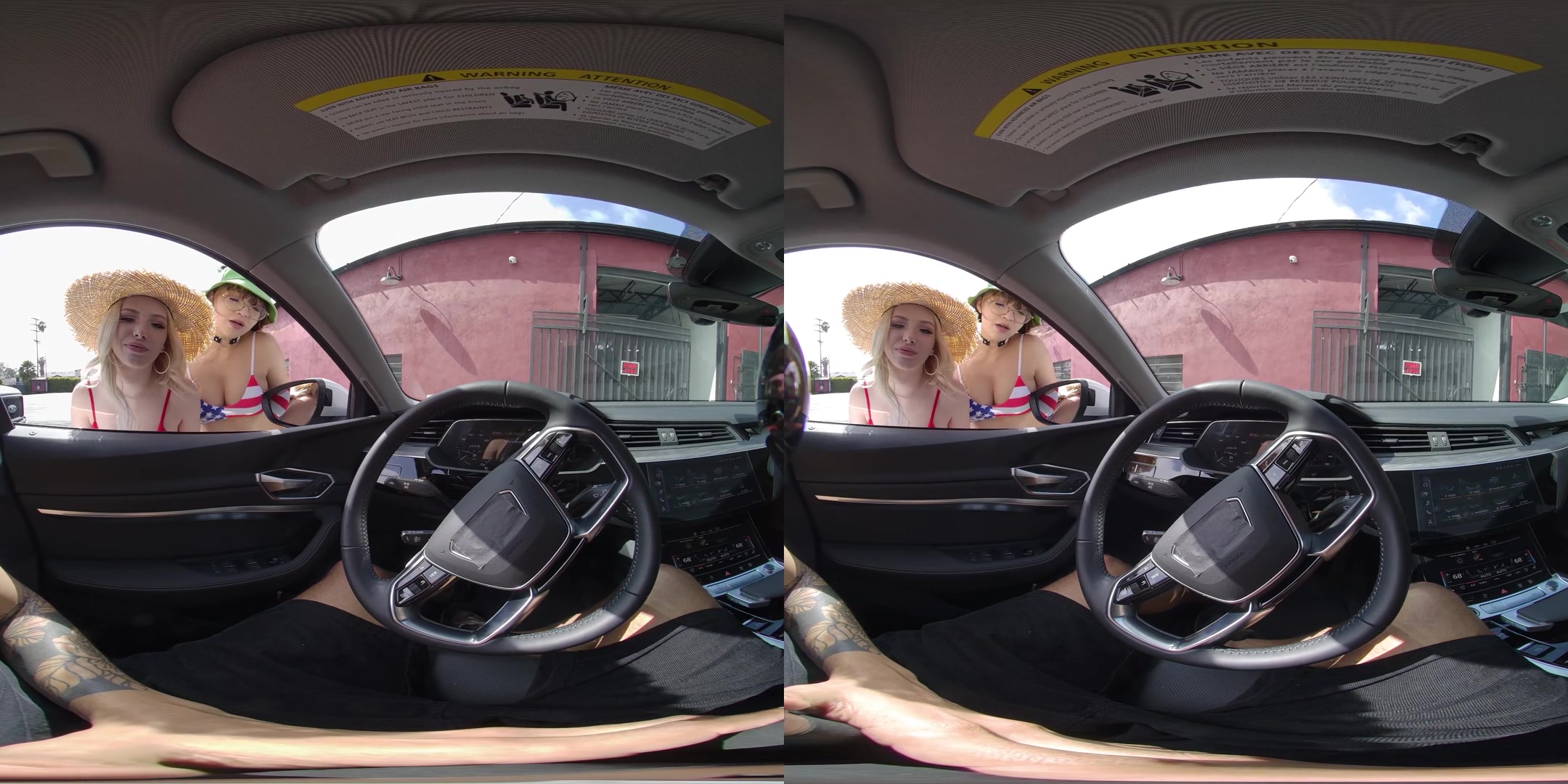 Bikini Car Wash - VRFanService