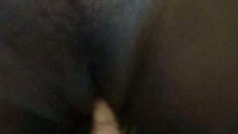 Exotic Hairy Pussy Fingered