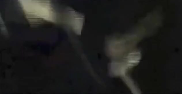 Group dorm fucking
