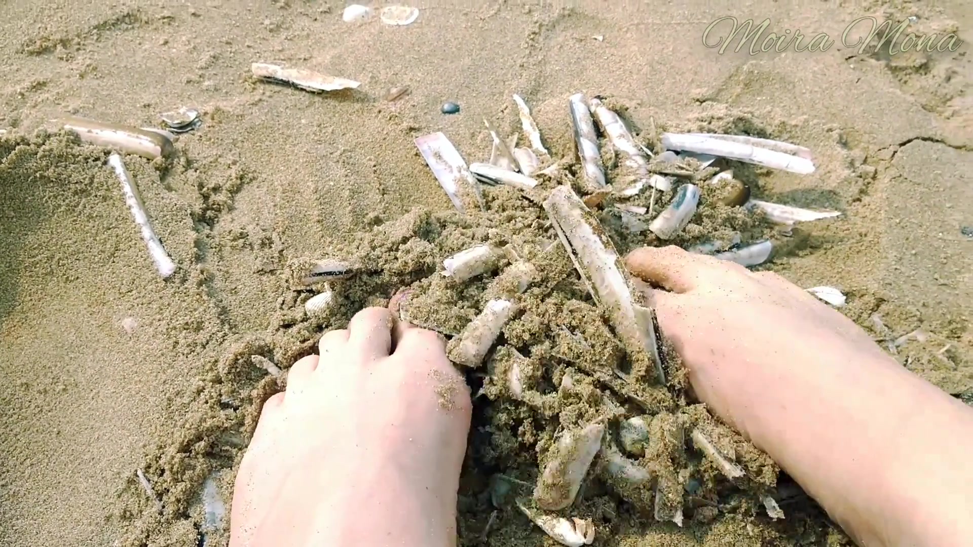 Sand And Shells Under My Feet