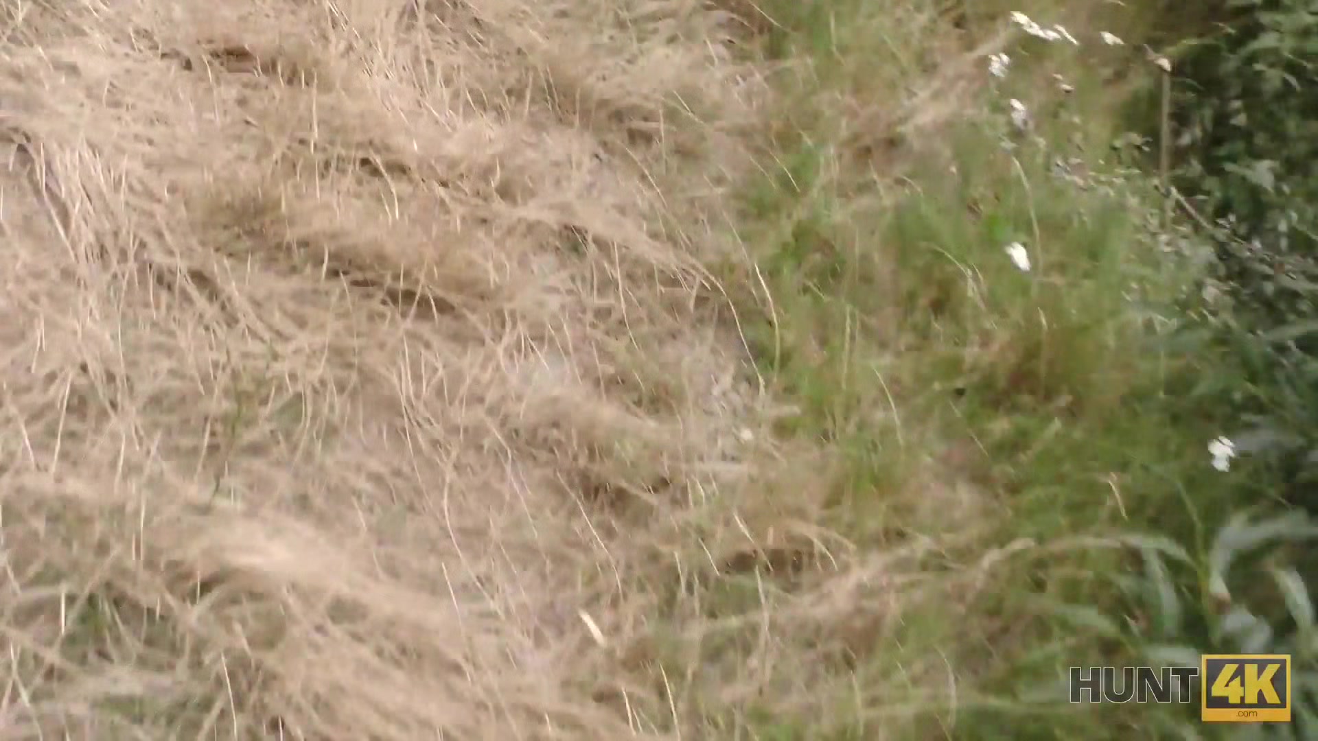HUNT4K. guy helps poor couple with cash for passionate sex