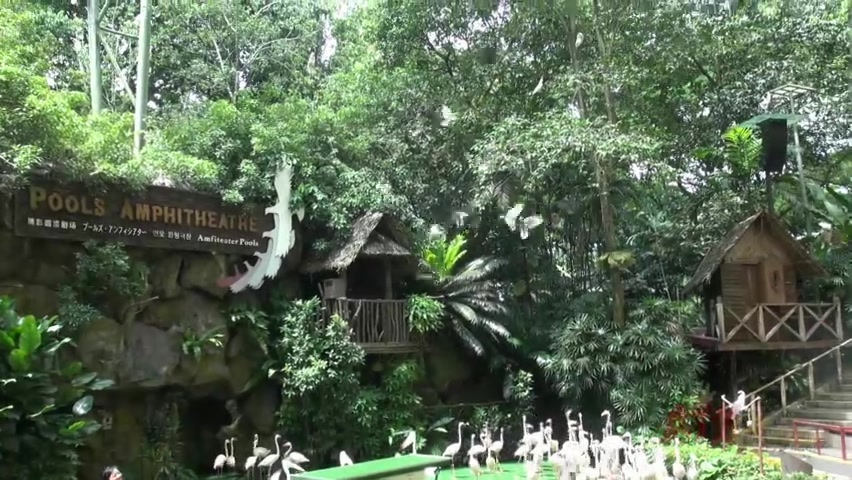ATKGirlfriends video: virtual vacation with Hope Howell in Singapore