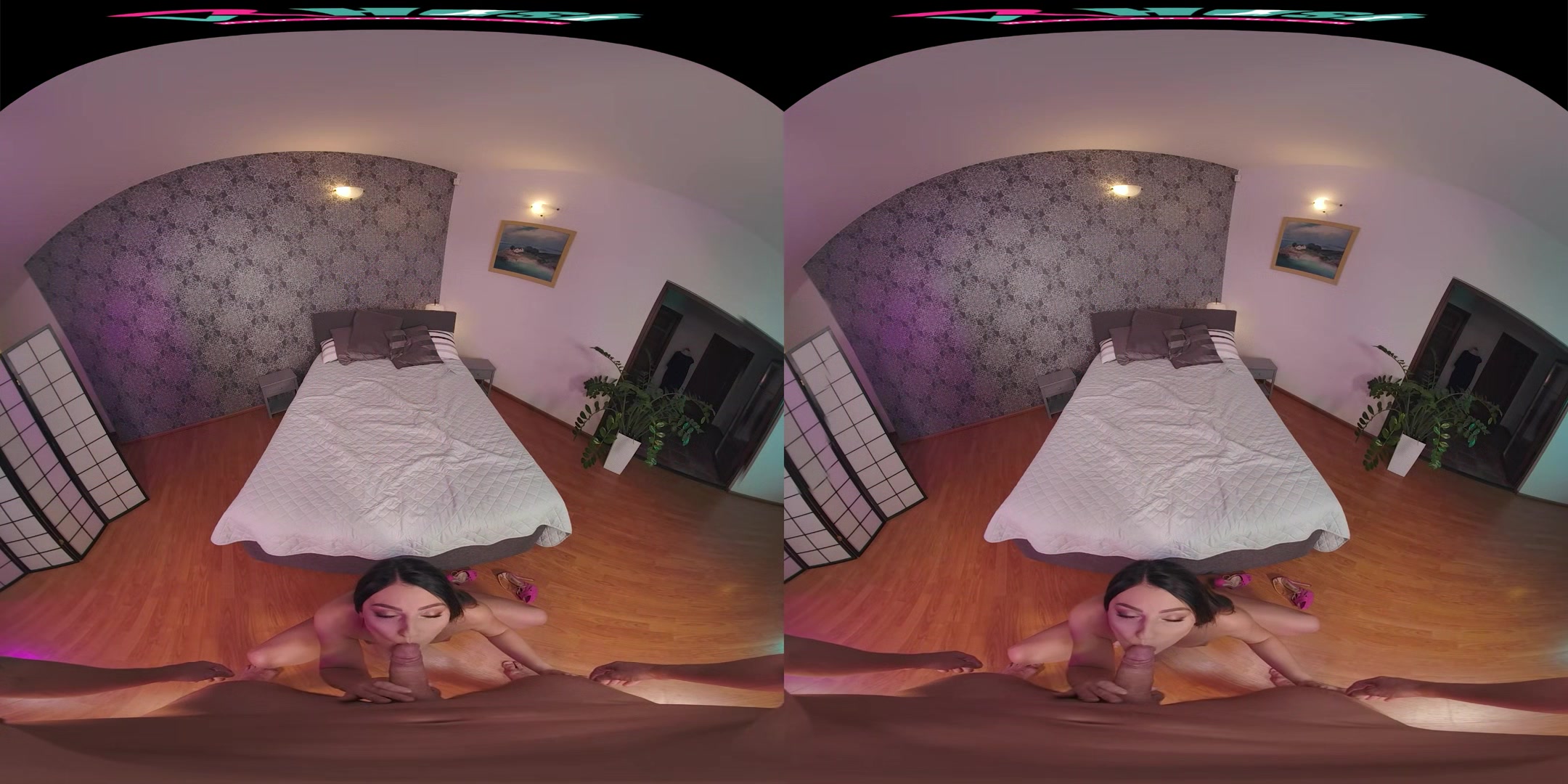 VRHUSH Katy Rose wants a quickie before dinner