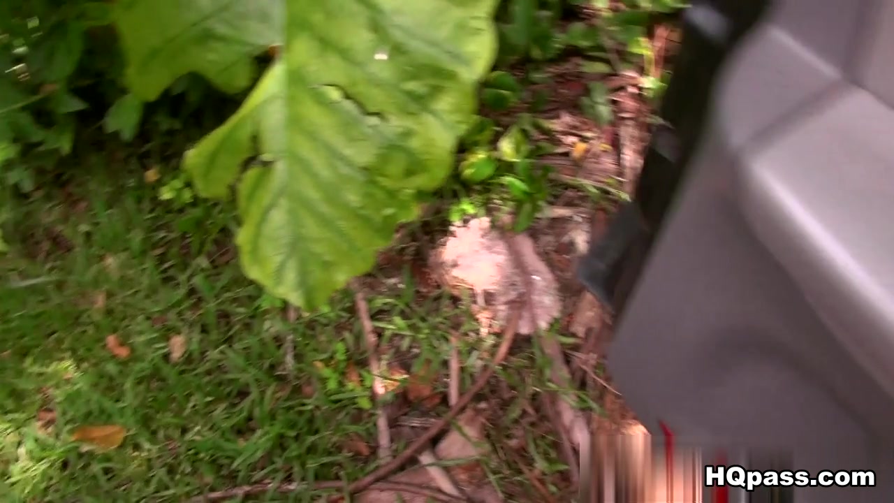 Chase in Chacha chase Video