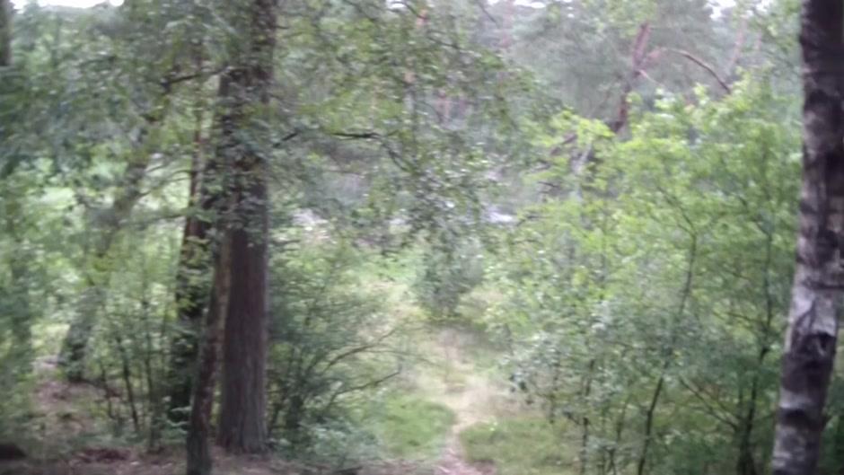 Ella in amateur video showing an outdoor blowjob