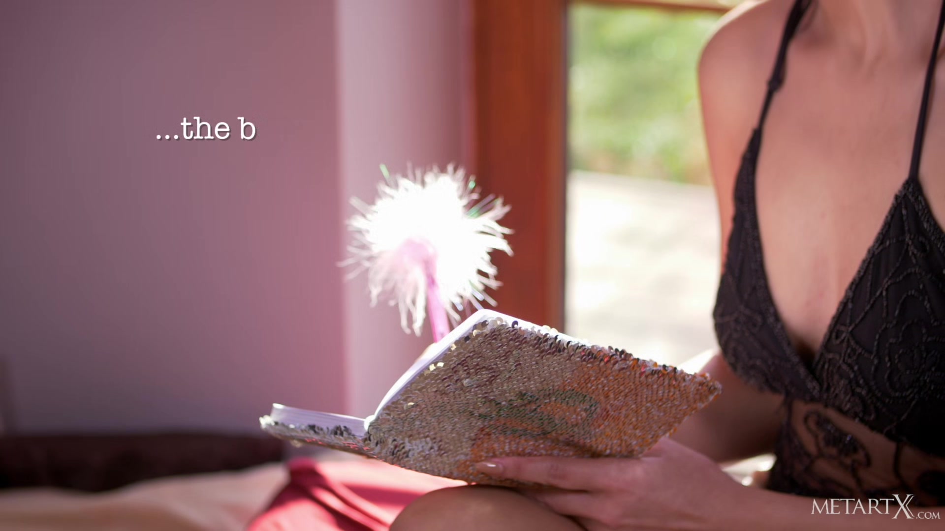 Dildo Diaries 2 - Paula Shy - MetartX