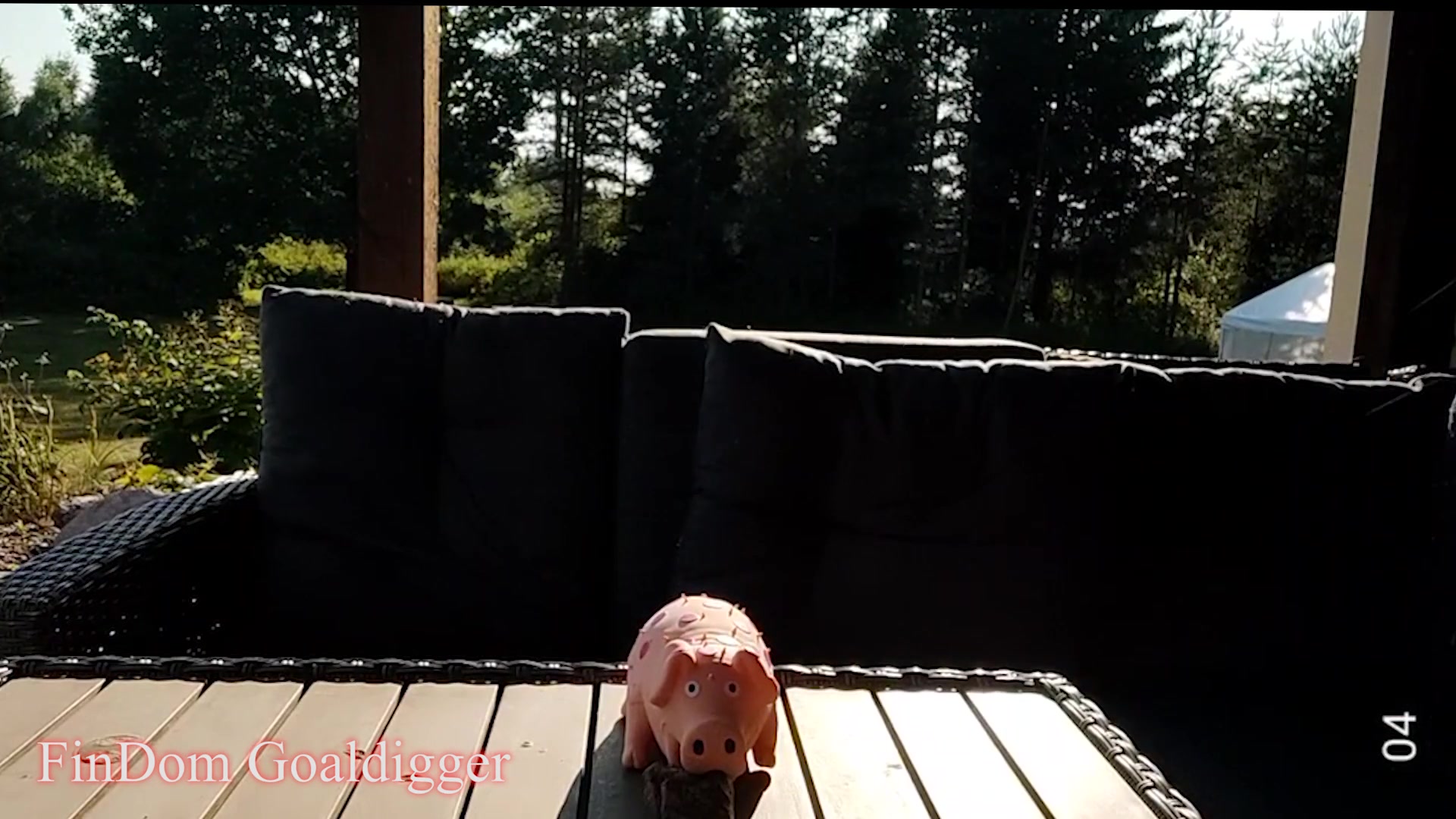 Pyapig Eat Your Meat - Sex Movies Featuring Findom Goaldigger