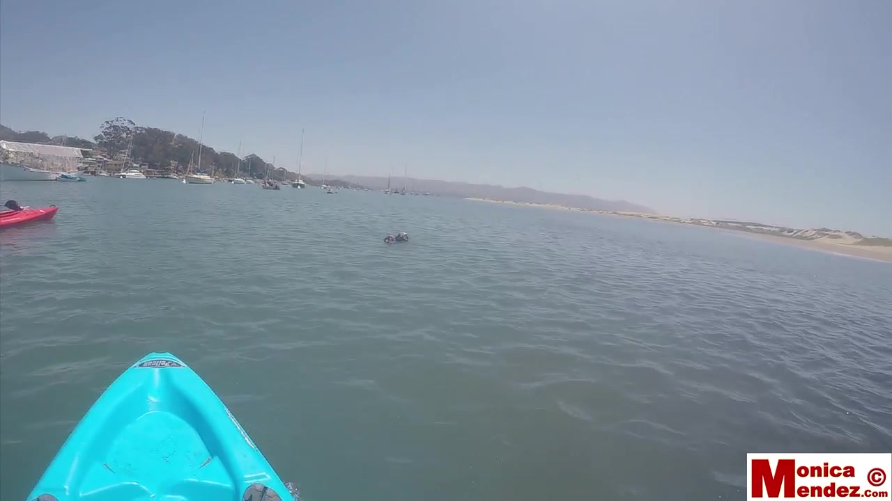 Monica Mendez - Kayak Flash 1