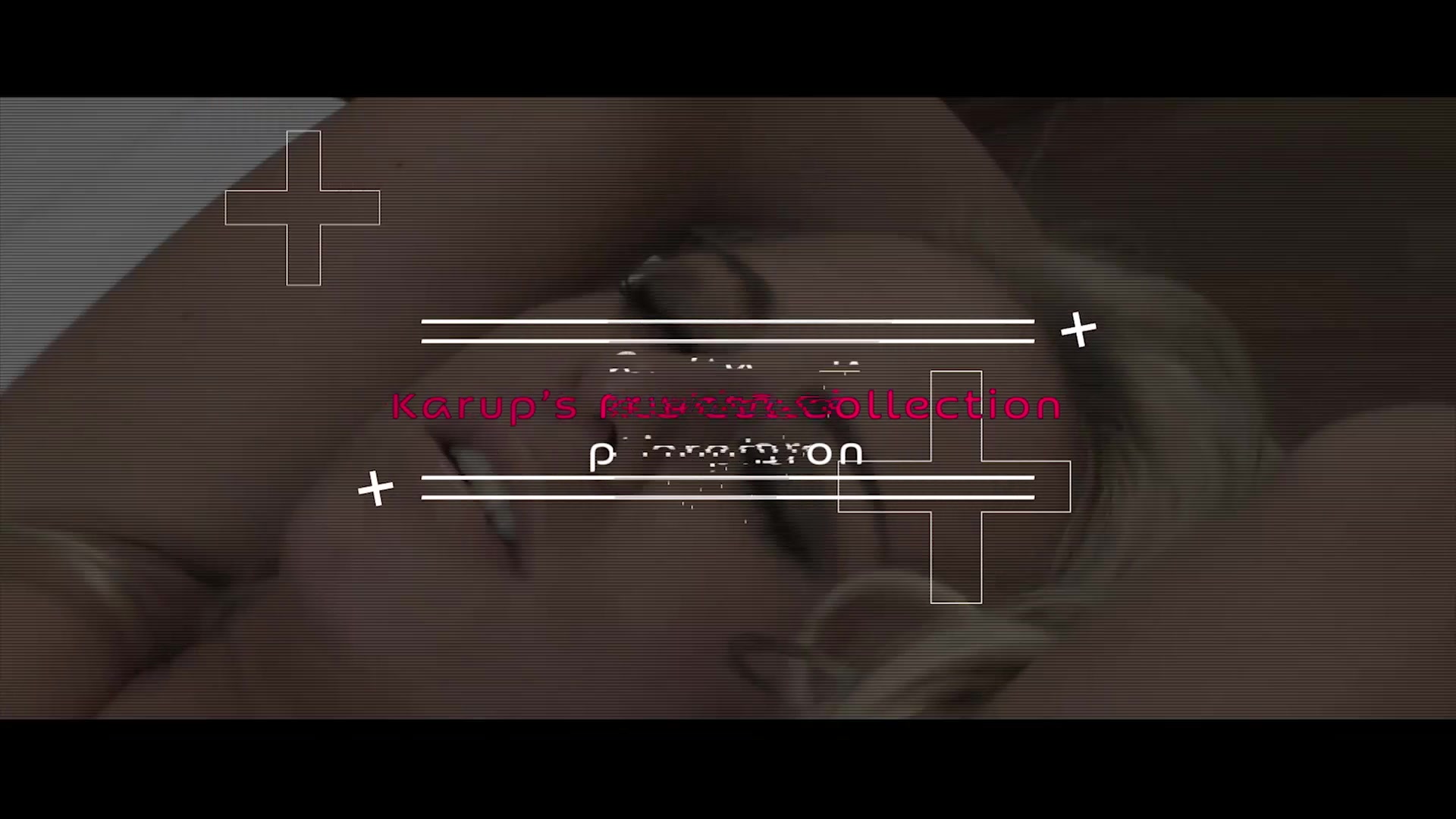 Lady Dee - Karups