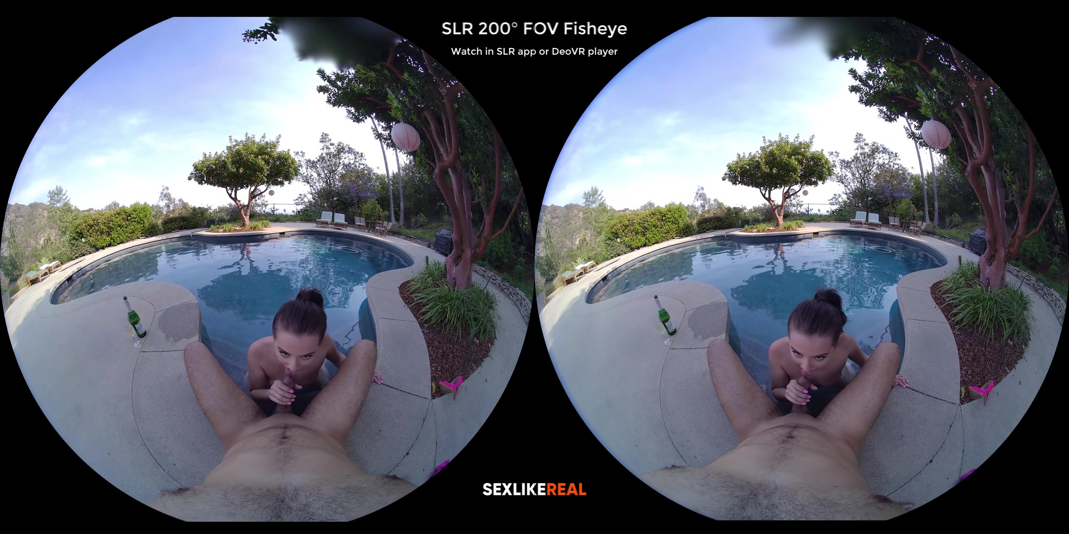 Living the High Life - SLROriginals