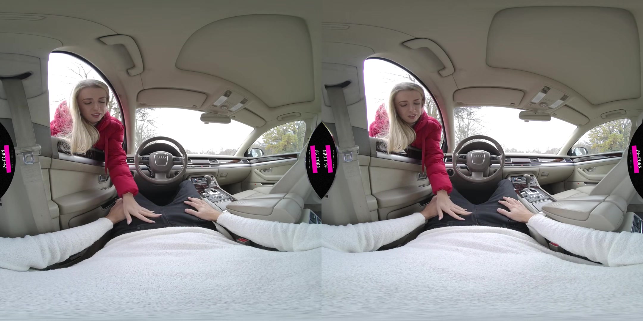 Sex In The Car With Adriana
