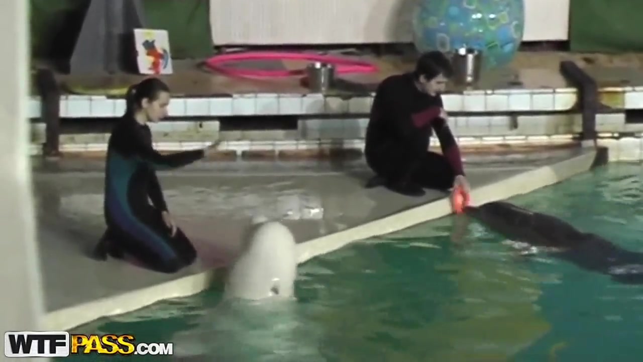 Cute and young brunette babe Natasha is getting seduced by her workmate at dolphinarium for naughty fuck.