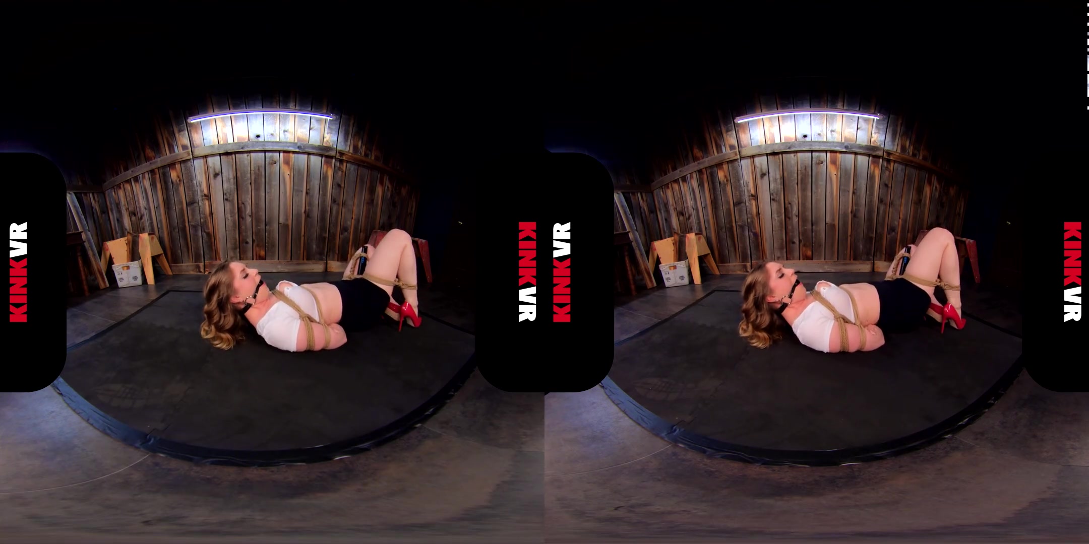 Dresden 333 in Rough Escape - KinkVR