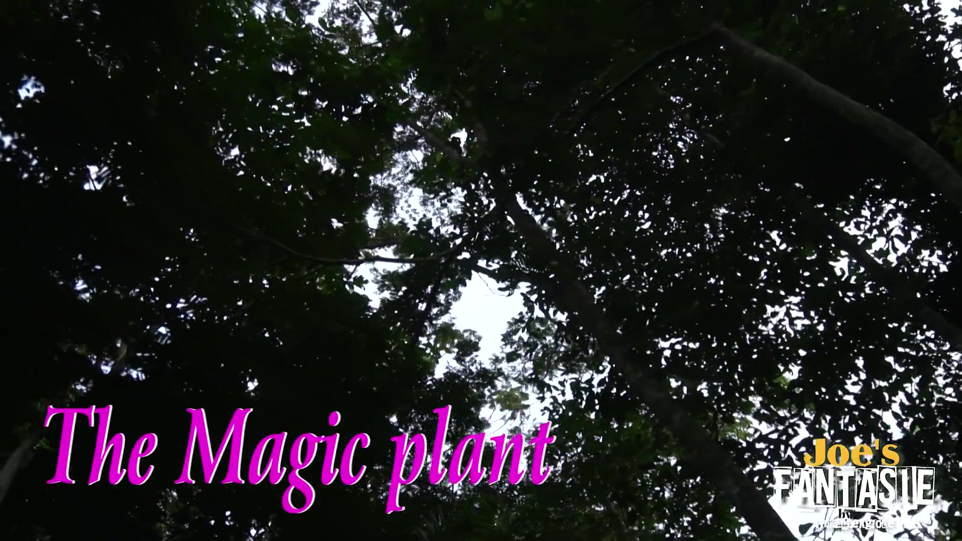 The Magic Plant New Version - Sex Movies Featuring Africansexglobe