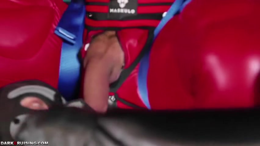 Superhero puppies boys orgy