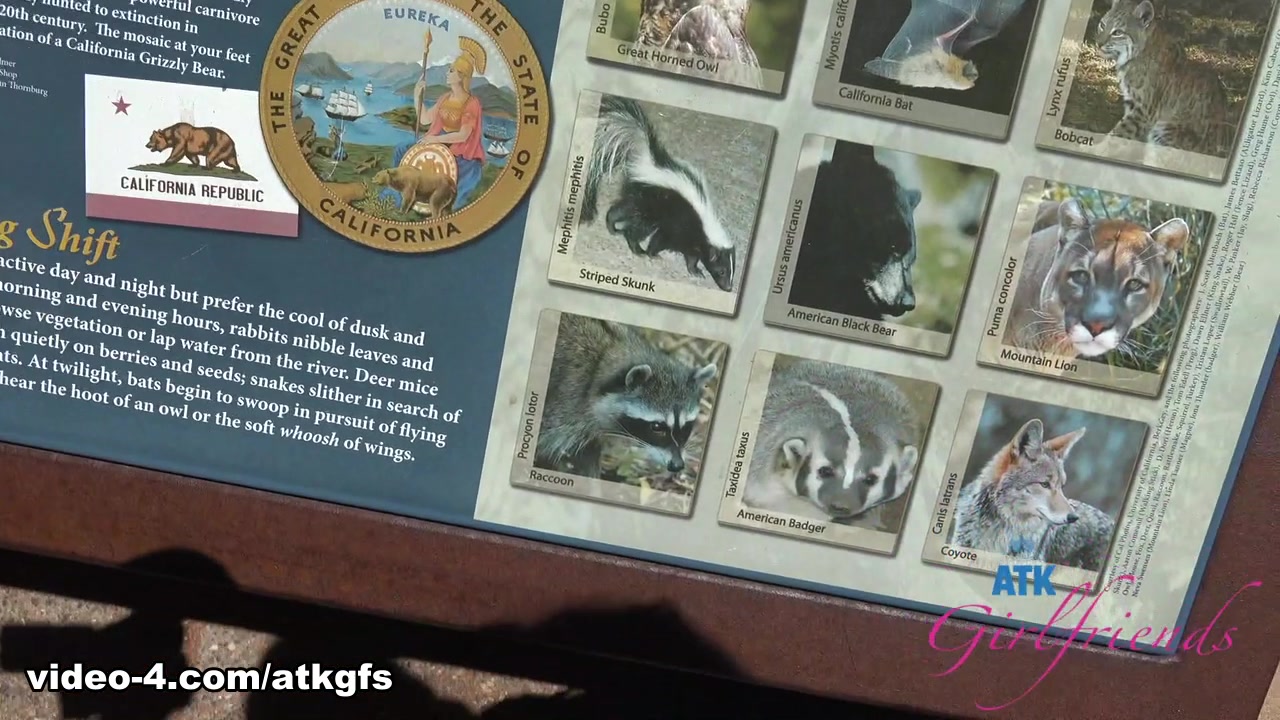 Riley Rose in Virtual Vacation Movie - AtkGirlfriends