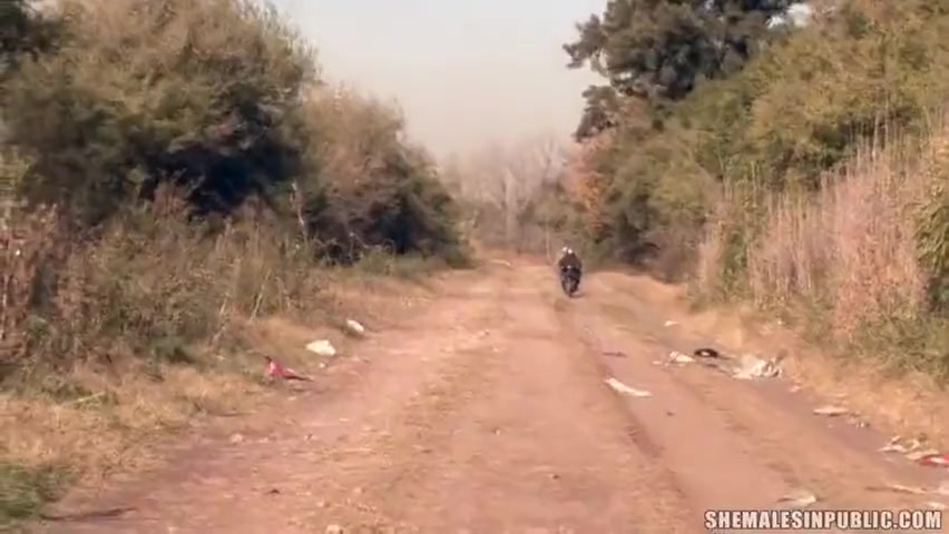 Shemales In Public 01
