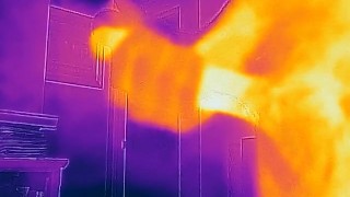 Thermal Camera - HOT cum!