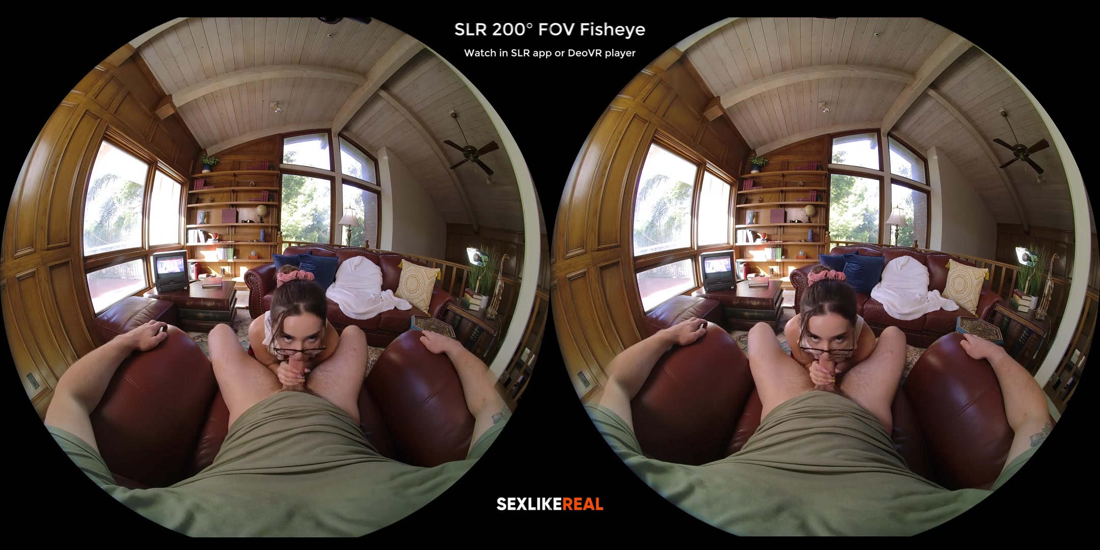 As Seen on TV!; Ultra High Definition VR Porn with Aria Lee SLR Original