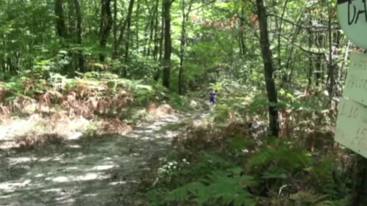 Fucked By Jimy In Exhib Cruisin Forest - FrenchFuckers